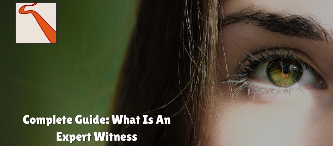 What is expert witness